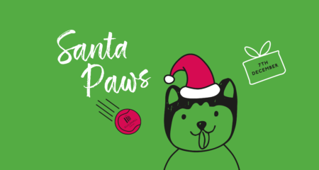 Santa Paws!